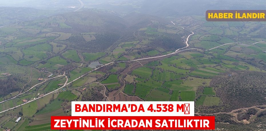 Bandırma'da 4.538 m² zeytinlik icradan satılıktır
