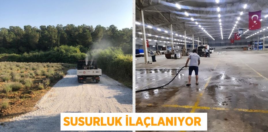 SUSURLUK İLAÇLANIYOR