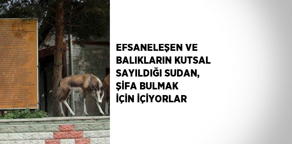 EFSANELEŞEN VE BALIKLARIN KUTSAL SAYILDIĞI SUDAN, ŞİFA BULMAK İÇİN İÇİYORLAR