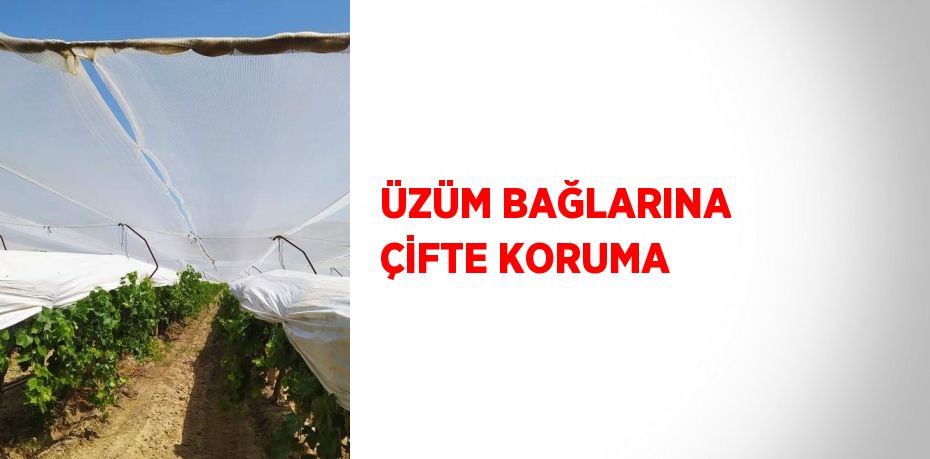 ÜZÜM BAĞLARINA ÇİFTE KORUMA