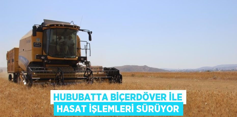 HUBUBATTA BİÇERDÖVER İLE HASAT İŞLEMLERİ SÜRÜYOR