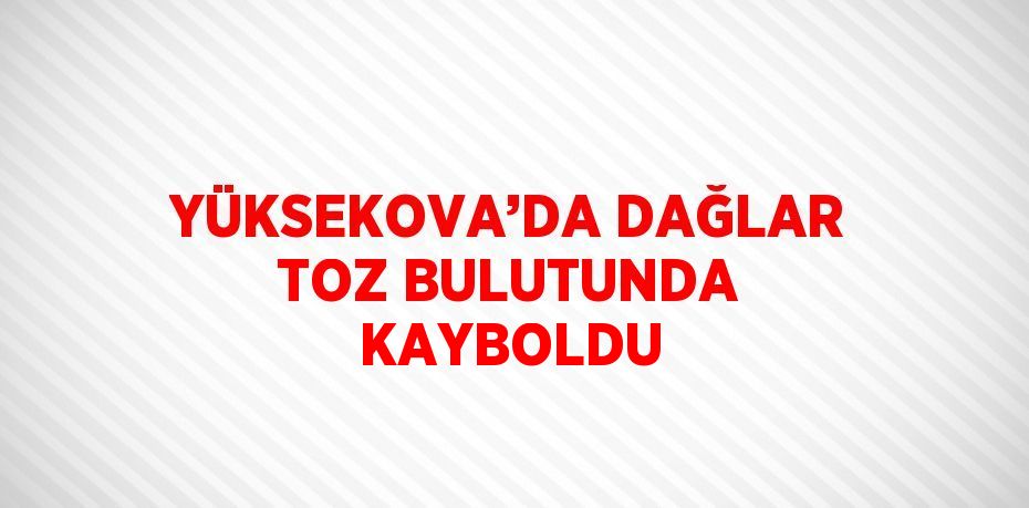 YÜKSEKOVA’DA DAĞLAR TOZ BULUTUNDA KAYBOLDU