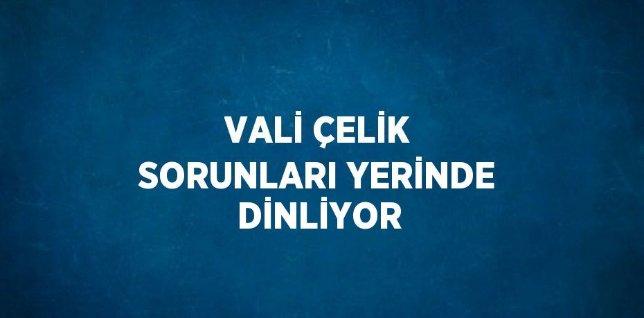 VALİ ÇELİK SORUNLARI YERİNDE DİNLİYOR