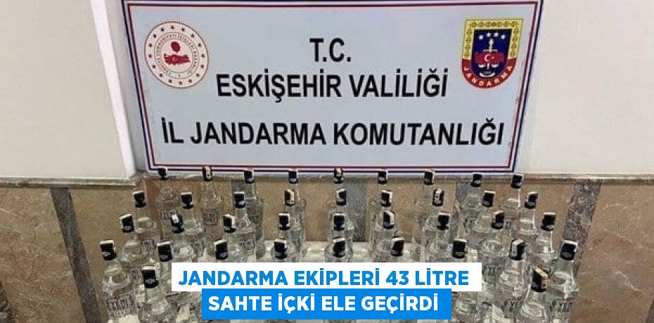 JANDARMA EKİPLERİ 43 LİTRE SAHTE İÇKİ ELE GEÇİRDİ