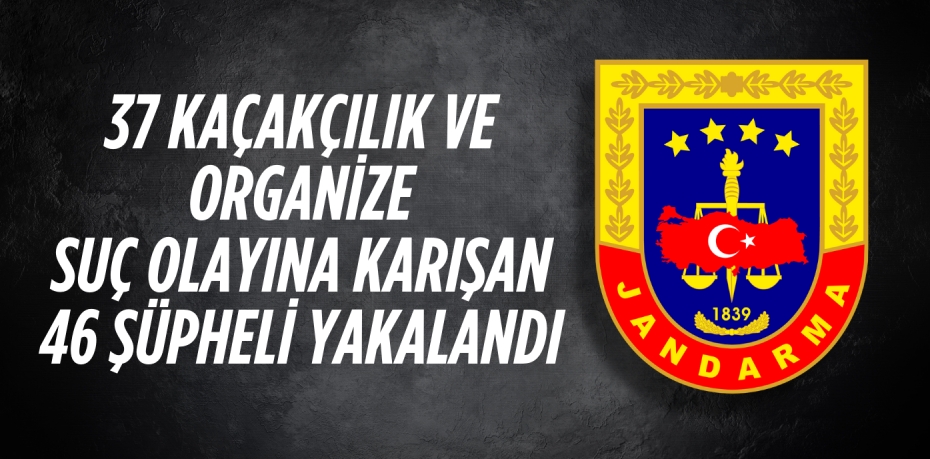 37 KAÇAKÇILIK VE ORGANİZE SUÇ OLAYINA KARIŞAN 46 ŞÜPHELİ YAKALANDI