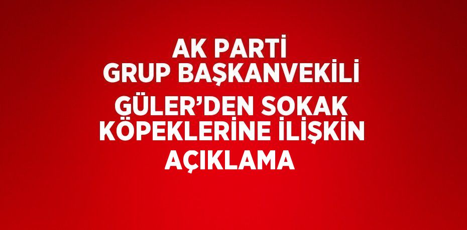 AK PARTİ GRUP BAŞKANVEKİLİ GÜLER’DEN SOKAK KÖPEKLERİNE İLİŞKİN AÇIKLAMA