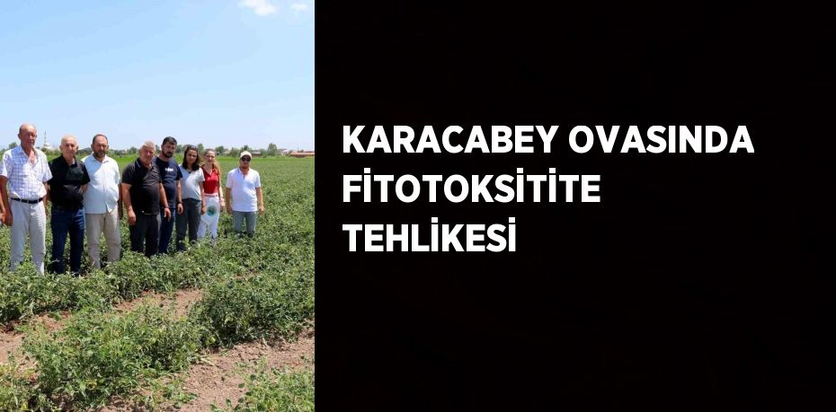 KARACABEY OVASINDA FİTOTOKSİTİTE TEHLİKESİ