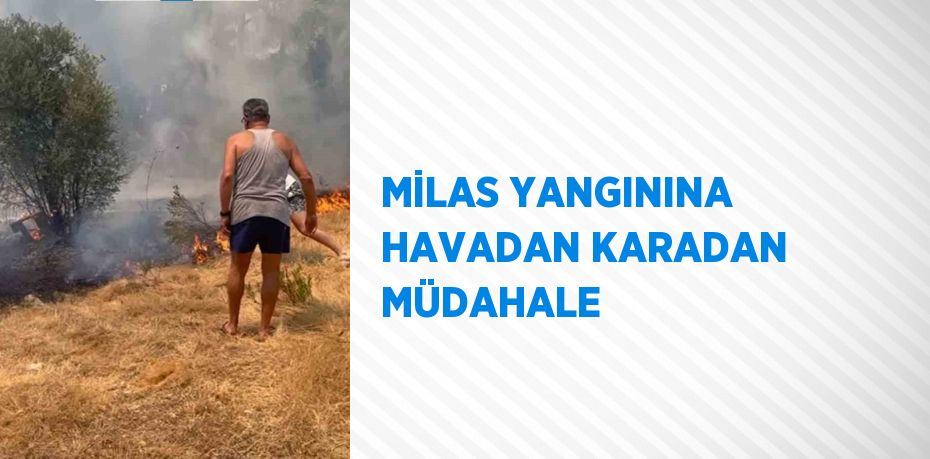 MİLAS YANGININA HAVADAN KARADAN MÜDAHALE