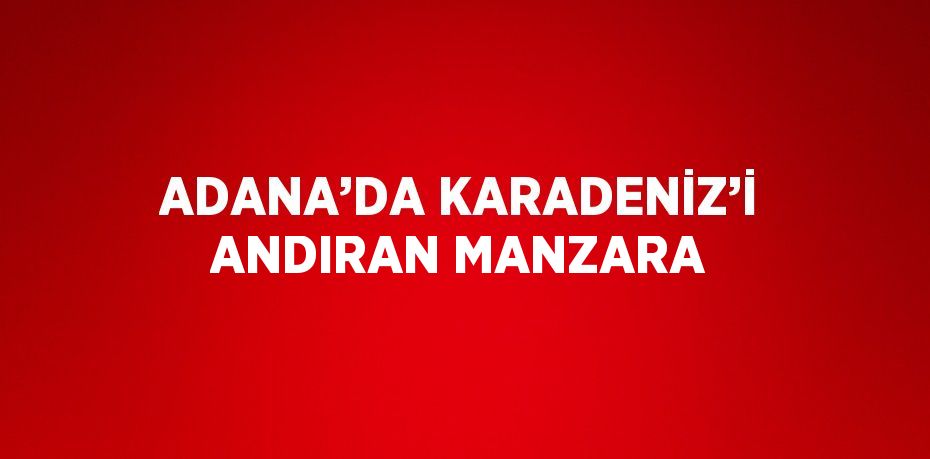 ADANA’DA KARADENİZ’İ ANDIRAN MANZARA