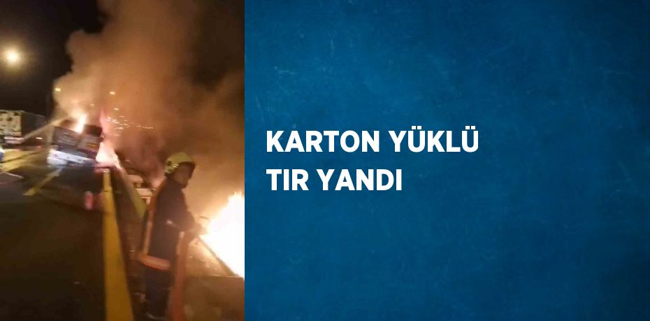 KARTON YÜKLÜ TIR YANDI