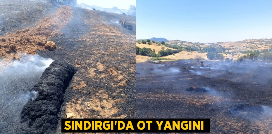 Sındırgı’da ot yangını