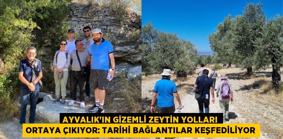 Ayvalık'ın Gizemli Zeytin Yolları Ortaya Çıkıyor: Tarihi Bağlantılar Keşfediliyor