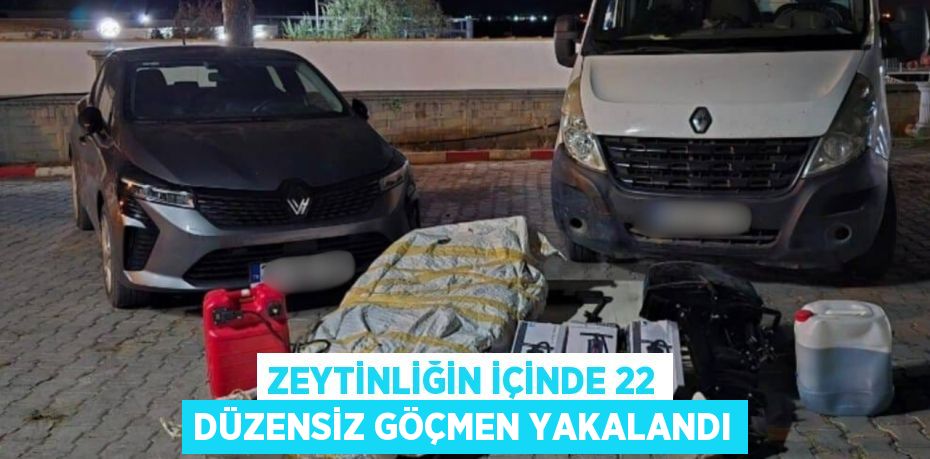 Zeytinliğin içinde 22 düzensiz göçmen yakalandı