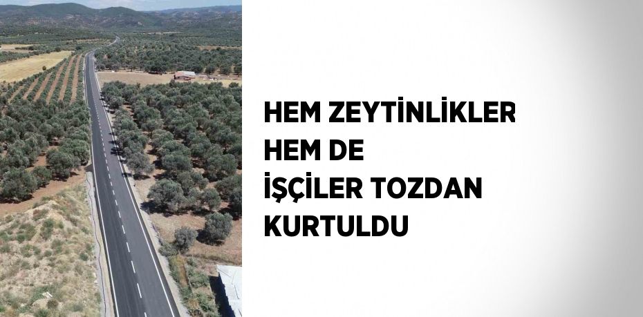 HEM ZEYTİNLİKLER HEM DE İŞÇİLER TOZDAN KURTULDU