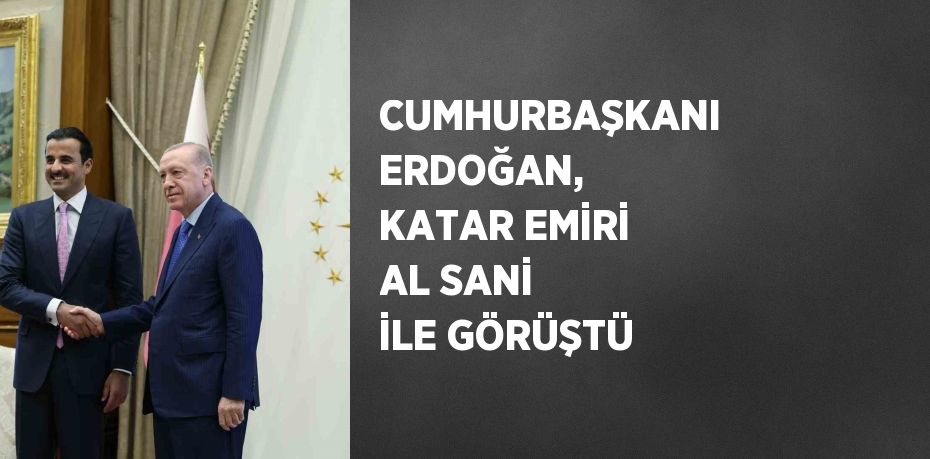 CUMHURBAŞKANI ERDOĞAN, KATAR EMİRİ AL SANİ İLE GÖRÜŞTÜ