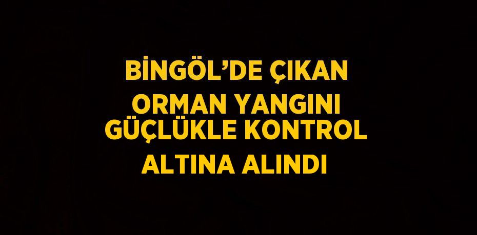 BİNGÖL’DE ÇIKAN ORMAN YANGINI GÜÇLÜKLE KONTROL ALTINA ALINDI