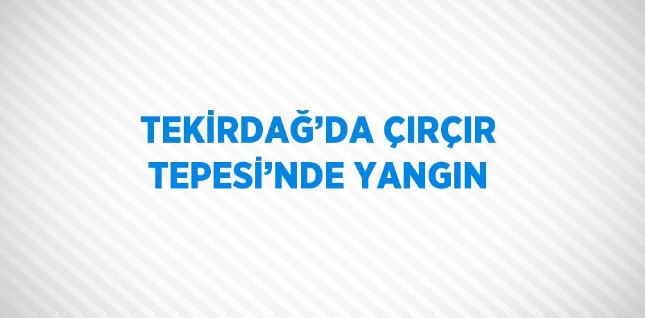 TEKİRDAĞ’DA ÇIRÇIR TEPESİ’NDE YANGIN