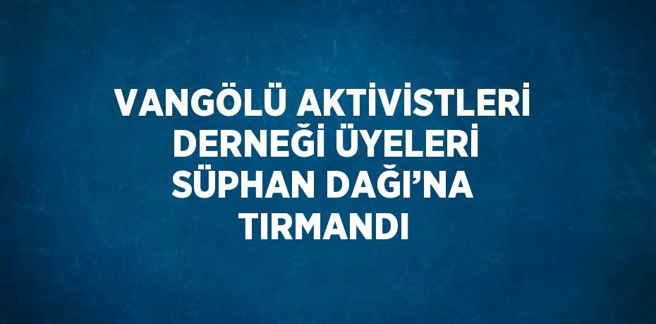 VANGÖLÜ AKTİVİSTLERİ DERNEĞİ ÜYELERİ SÜPHAN DAĞI’NA TIRMANDI