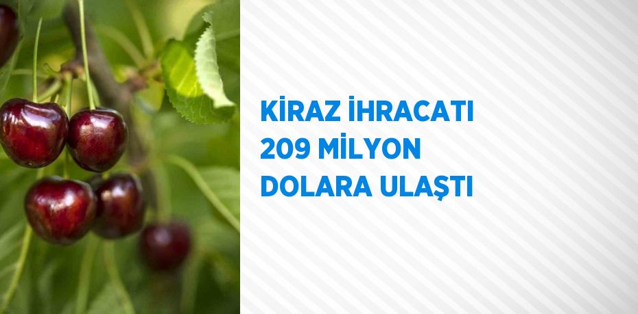 KİRAZ İHRACATI 209 MİLYON DOLARA ULAŞTI