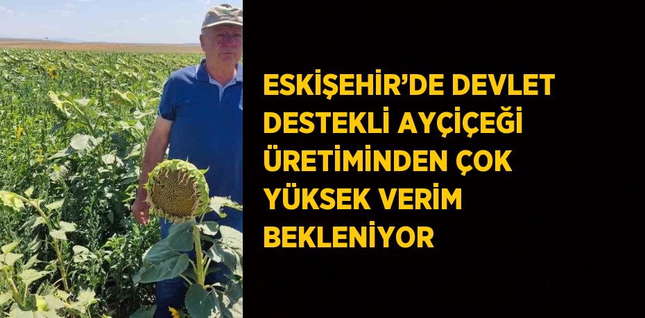 ESKİŞEHİR’DE DEVLET DESTEKLİ AYÇİÇEĞİ ÜRETİMİNDEN ÇOK YÜKSEK VERİM BEKLENİYOR