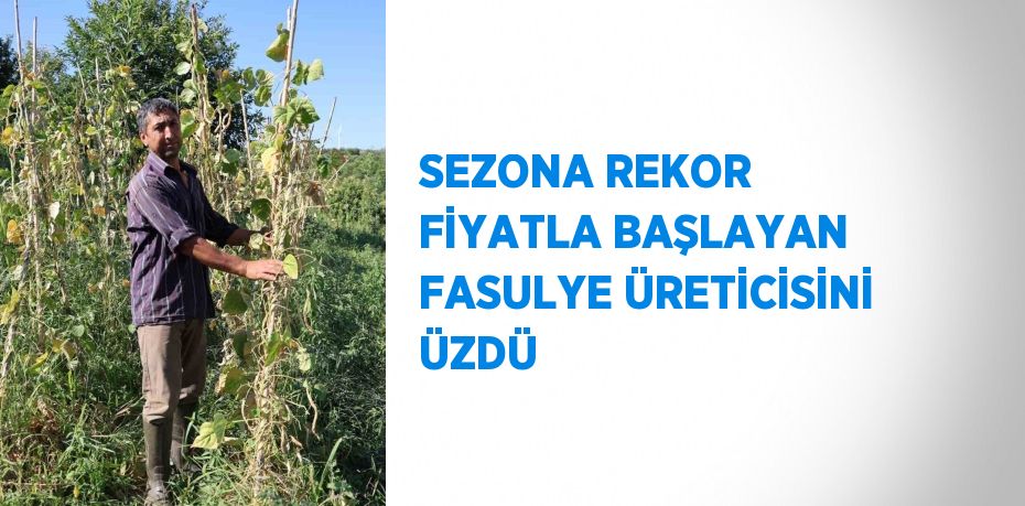 SEZONA REKOR FİYATLA BAŞLAYAN FASULYE ÜRETİCİSİNİ ÜZDÜ