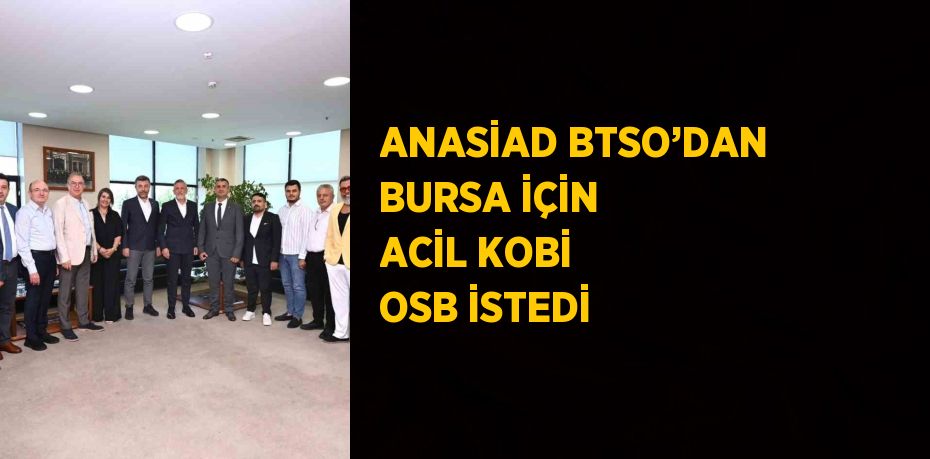 ANASİAD BTSO’DAN BURSA İÇİN ACİL KOBİ OSB İSTEDİ