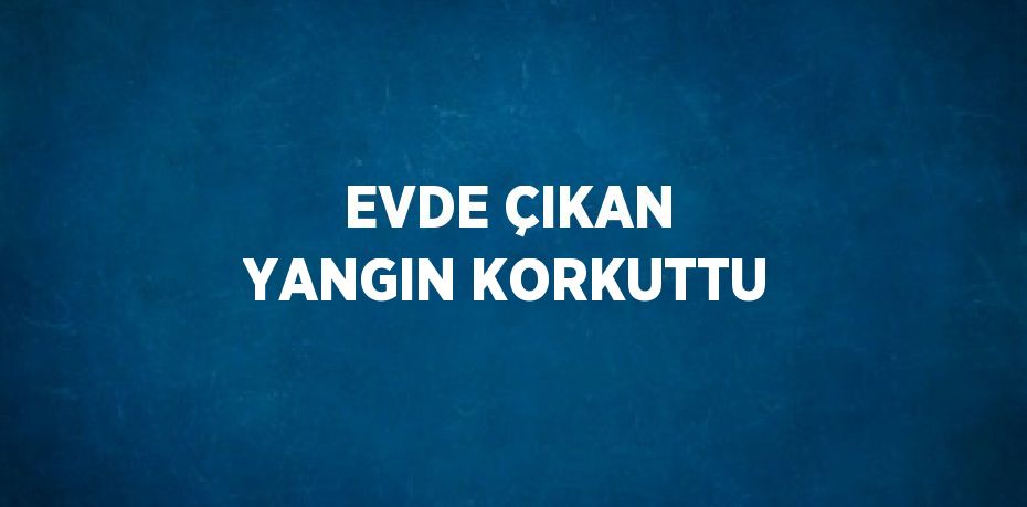 EVDE ÇIKAN YANGIN KORKUTTU