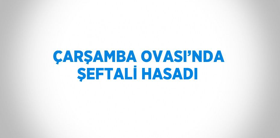 ÇARŞAMBA OVASI’NDA ŞEFTALİ HASADI