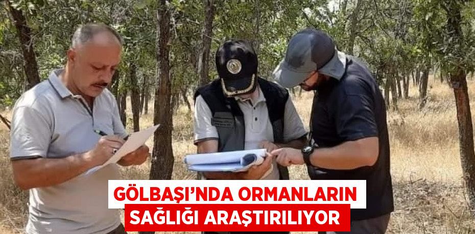 GÖLBAŞI’NDA ORMANLARIN SAĞLIĞI ARAŞTIRILIYOR