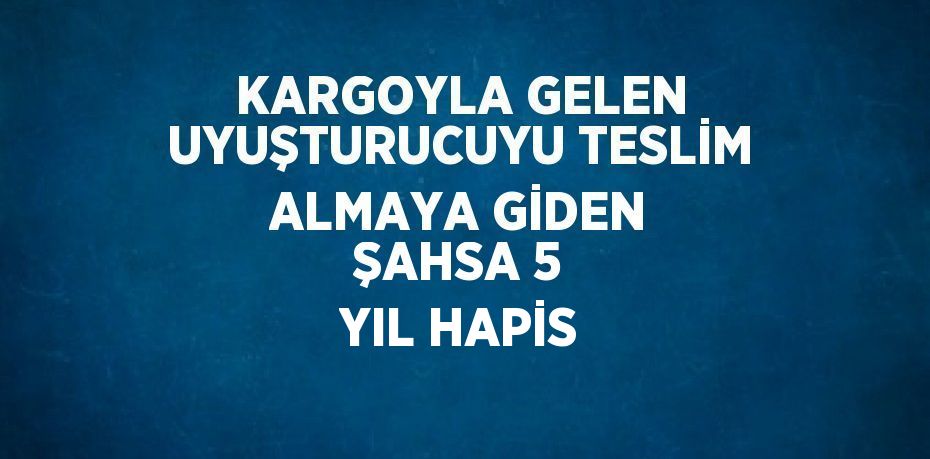 KARGOYLA GELEN UYUŞTURUCUYU TESLİM ALMAYA GİDEN ŞAHSA 5 YIL HAPİS