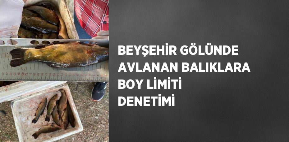 BEYŞEHİR GÖLÜNDE AVLANAN BALIKLARA BOY LİMİTİ DENETİMİ