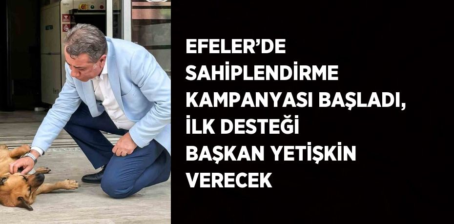 EFELER’DE SAHİPLENDİRME KAMPANYASI BAŞLADI, İLK DESTEĞİ BAŞKAN YETİŞKİN VERECEK