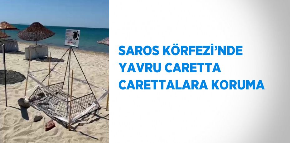 SAROS KÖRFEZİ’NDE YAVRU CARETTA CARETTALARA KORUMA