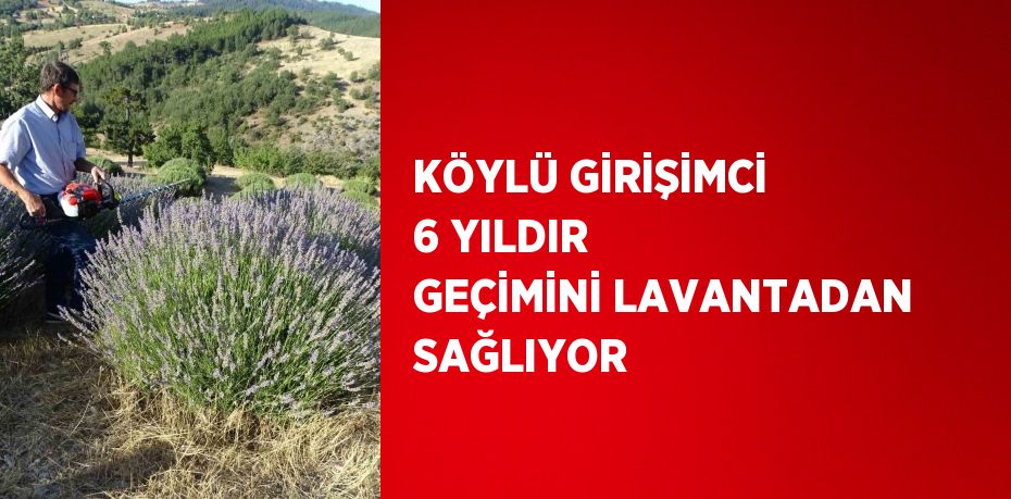 KÖYLÜ GİRİŞİMCİ 6 YILDIR GEÇİMİNİ LAVANTADAN SAĞLIYOR