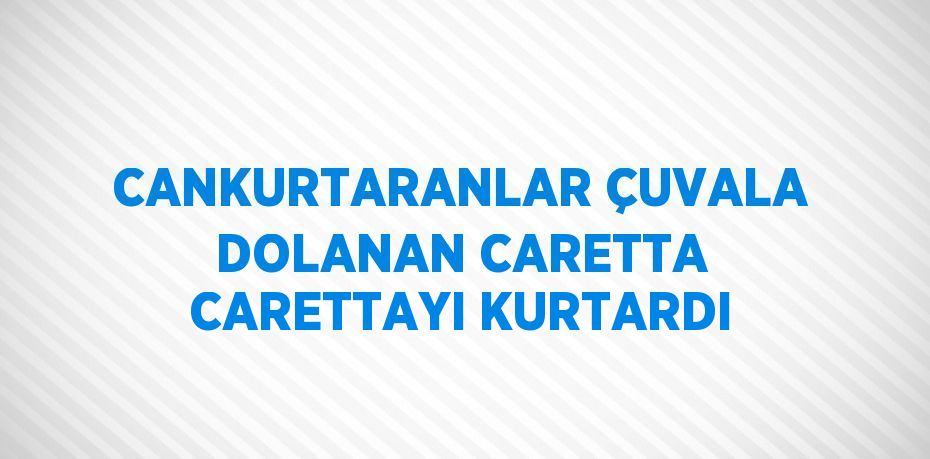 CANKURTARANLAR ÇUVALA DOLANAN CARETTA CARETTAYI KURTARDI