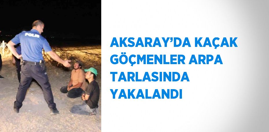 AKSARAY’DA KAÇAK GÖÇMENLER ARPA TARLASINDA YAKALANDI