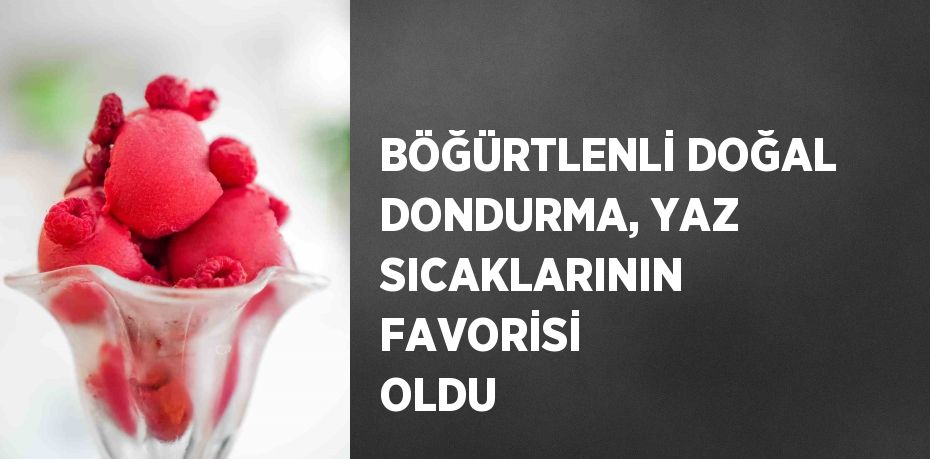 BÖĞÜRTLENLİ DOĞAL DONDURMA, YAZ SICAKLARININ FAVORİSİ OLDU