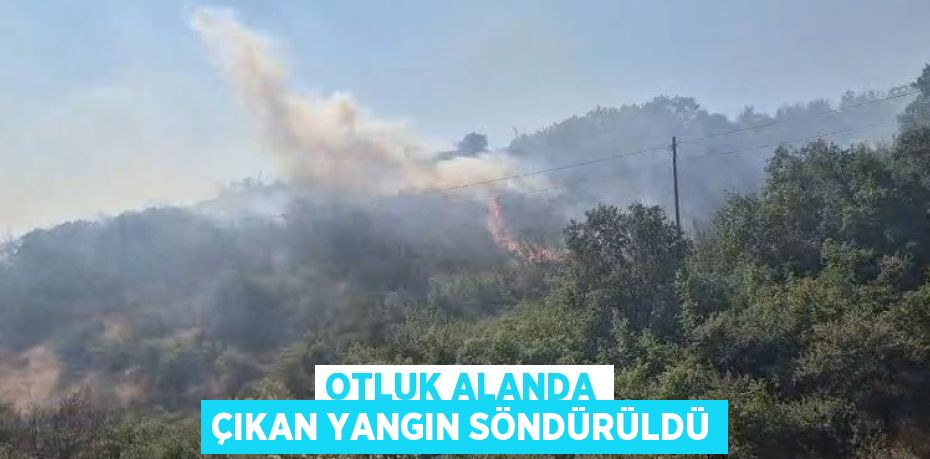 Otluk alanda çıkan yangın söndürüldü