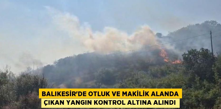 Balıkesir’de otluk ve makilik alanda çıkan yangın kontrol altına alındı