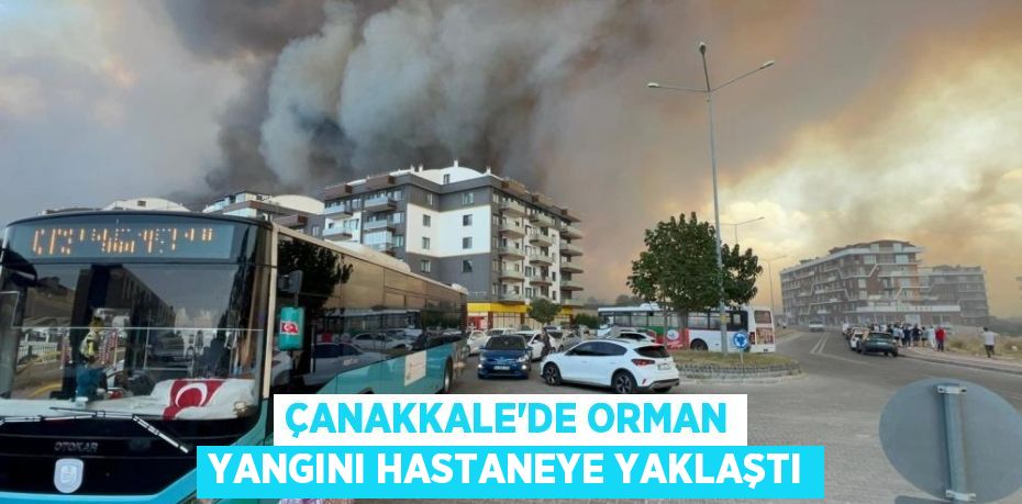 Çanakkale'de orman yangını hastaneye yaklaştı