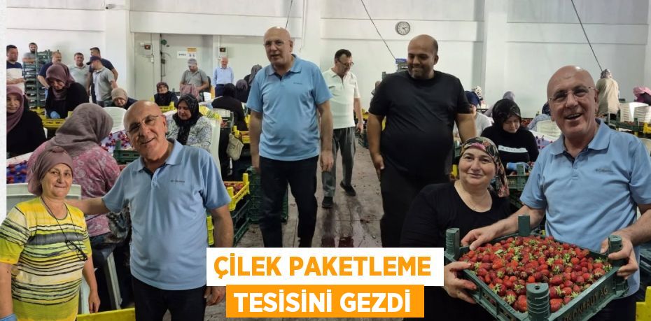 Çilek paketleme tesisini gezdi