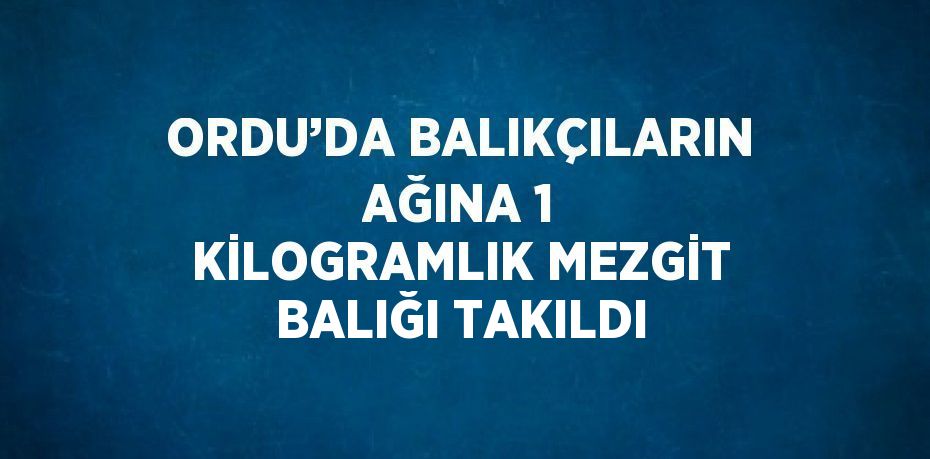 ORDU’DA BALIKÇILARIN AĞINA 1 KİLOGRAMLIK MEZGİT BALIĞI TAKILDI