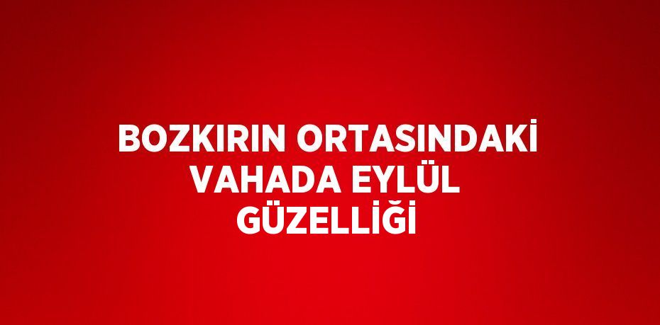 BOZKIRIN ORTASINDAKİ VAHADA EYLÜL GÜZELLİĞİ