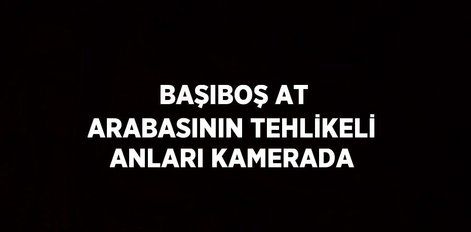 BAŞIBOŞ AT ARABASININ TEHLİKELİ ANLARI KAMERADA