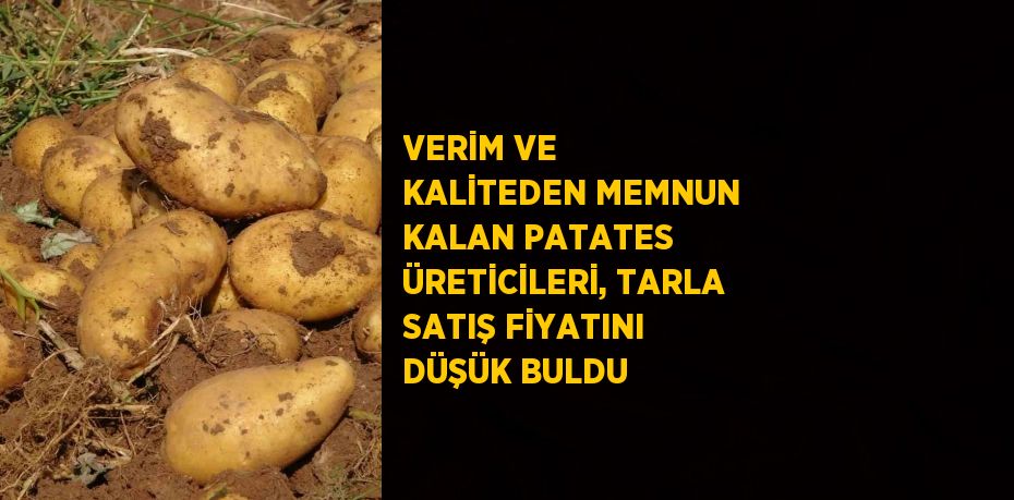 VERİM VE KALİTEDEN MEMNUN KALAN PATATES ÜRETİCİLERİ, TARLA SATIŞ FİYATINI DÜŞÜK BULDU