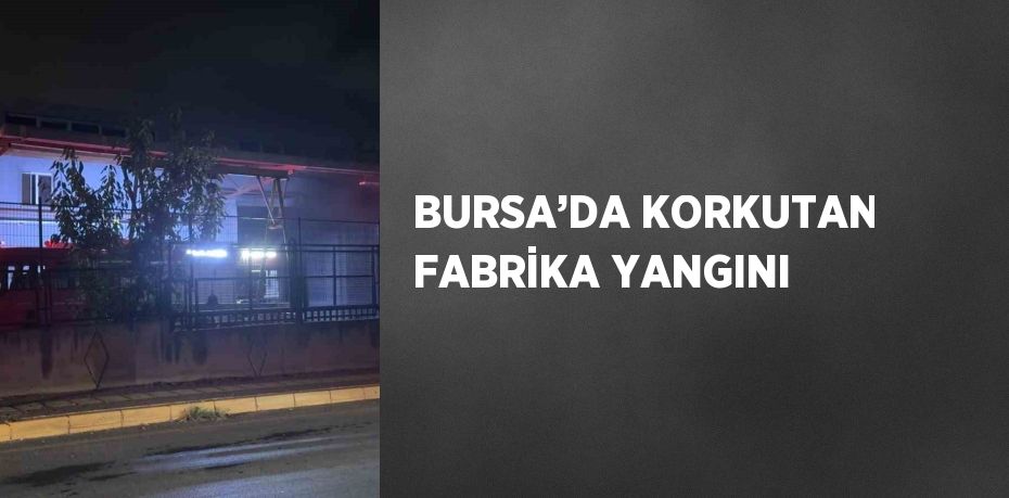 BURSA’DA KORKUTAN FABRİKA YANGINI