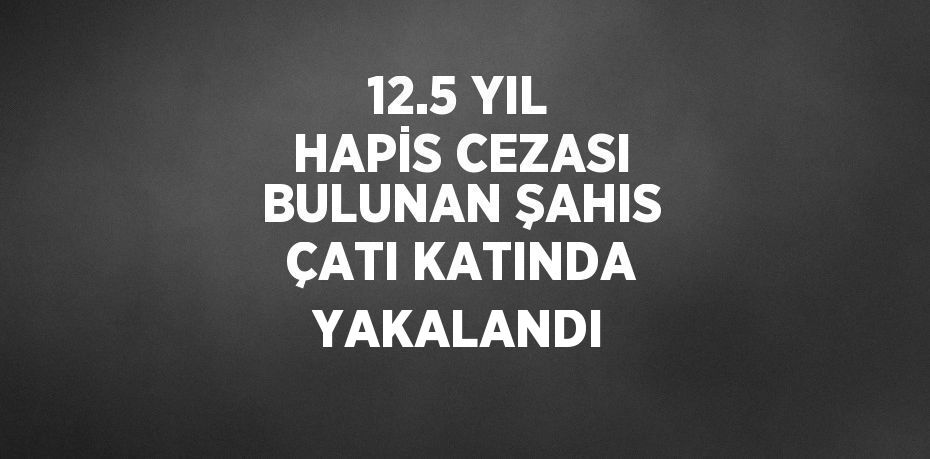 12.5 YIL HAPİS CEZASI BULUNAN ŞAHIS ÇATI KATINDA YAKALANDI