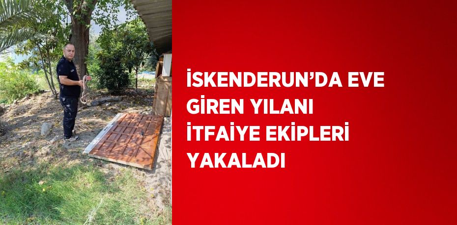 İSKENDERUN’DA EVE GİREN YILANI İTFAİYE EKİPLERİ YAKALADI