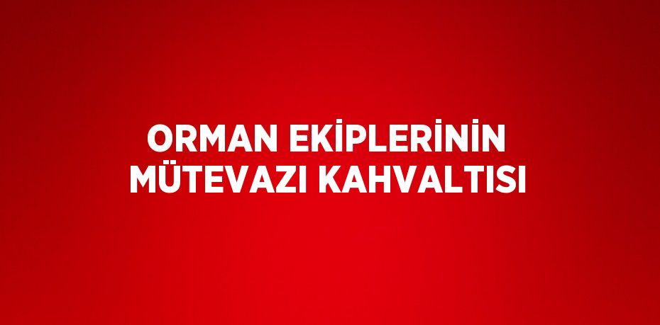 ORMAN EKİPLERİNİN MÜTEVAZI KAHVALTISI