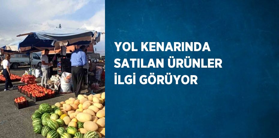 YOL KENARINDA SATILAN ÜRÜNLER İLGİ GÖRÜYOR